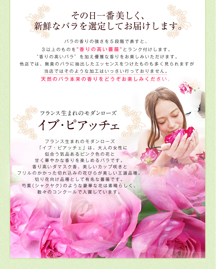 送料無料 香りのバラ イブ ビアッチェ を使ったアレンジメント 送料無料 香りのバラ イブ ビアッチェ を使ったアレンジメント