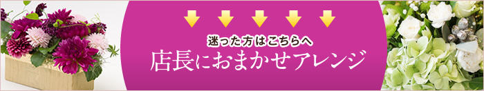 店長おまかせアレンジ