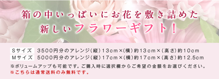 BOXアレンジ寸法