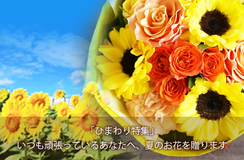 ひまわり特集