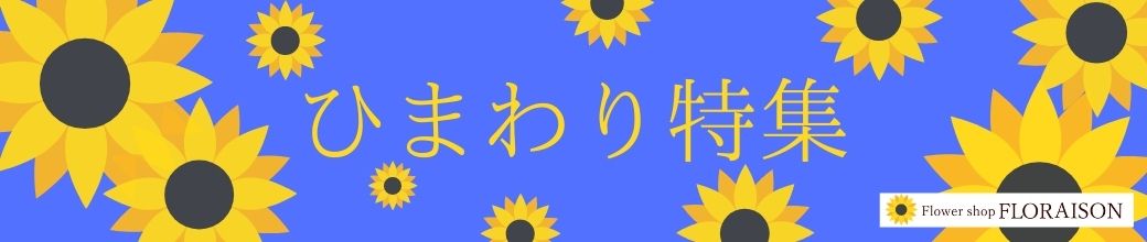 ひまわり特集