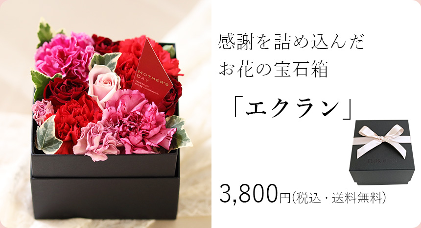 エクラン