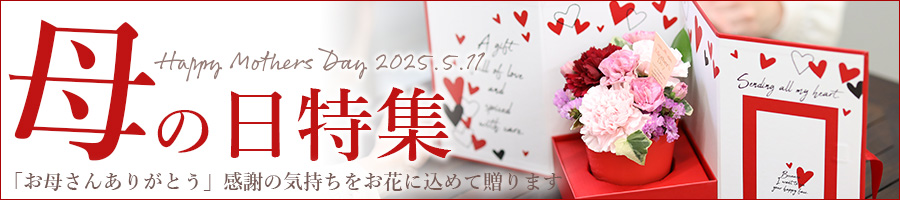 母の日、2025、お母さん