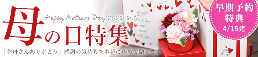 母の日、2025、お母さん