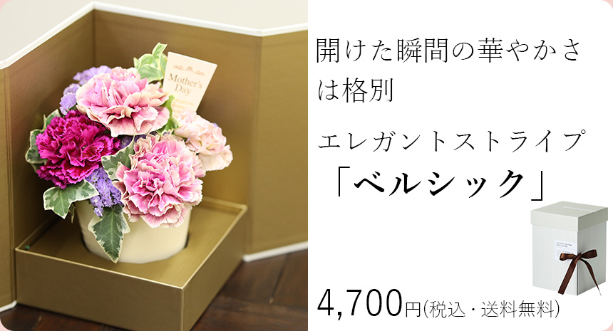 ベルシック