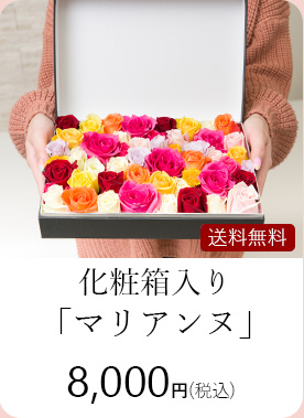 ローズバス・マリアンヌ 8000円