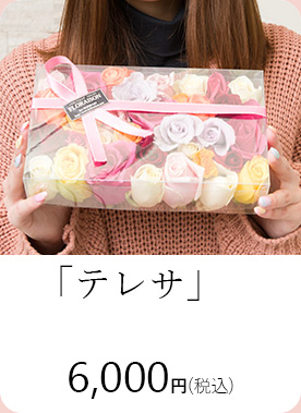 ローズバス・テレサ 6000円
