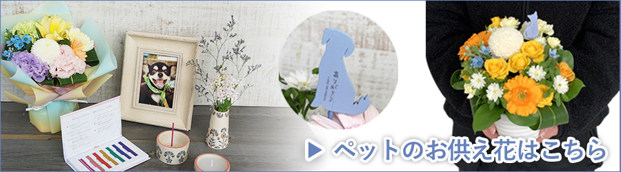 ペットお供え花へ