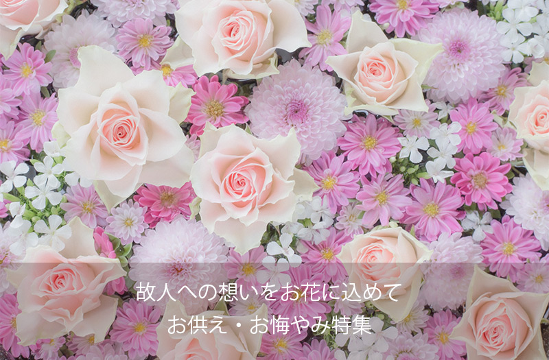 banner02