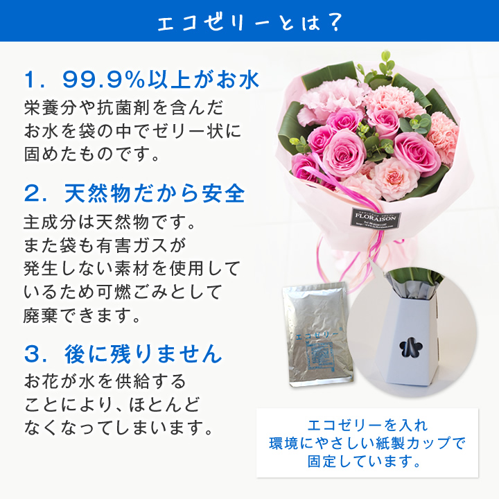 SB エコゼリーとは