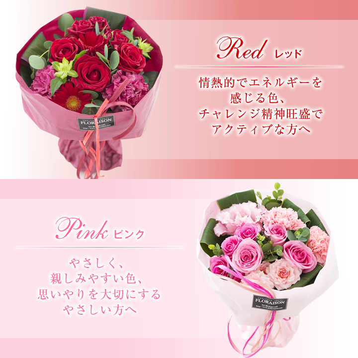 SB レッド、ピンクの紹介