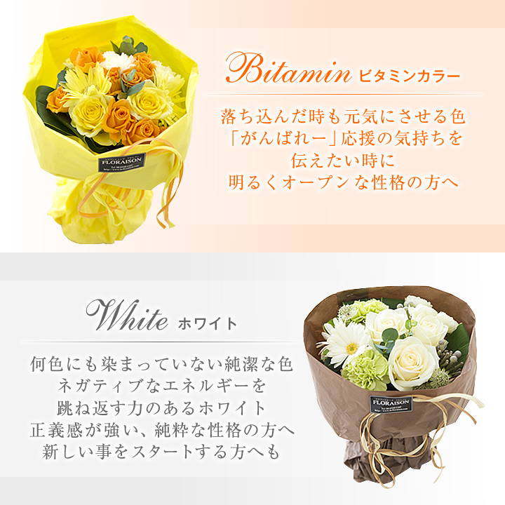 SB ビタミン、ホワイトの紹介