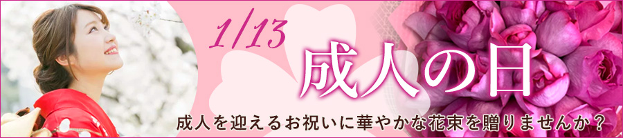 成人の日バナー