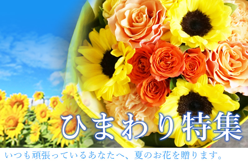 ひまわり