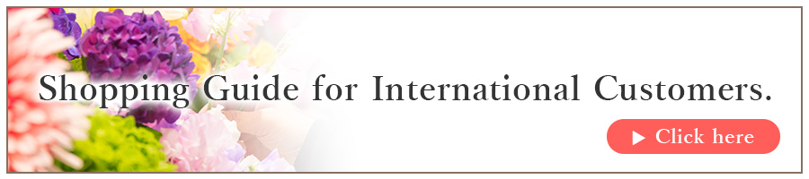 Shopping Guide for International Customers