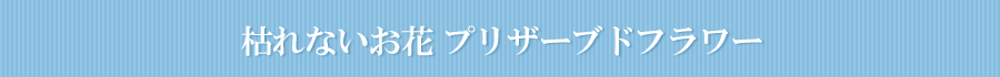 プリザーブドフラワー