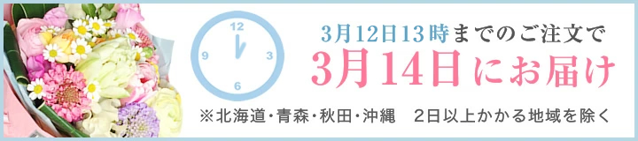 3月13日12時までのご注文で3月14日にお届け　※北海道・青森・秋田・沖縄　2日以上かかる地域を除く