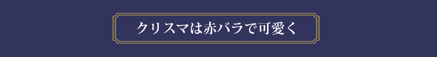 クリスマスは赤バラで可愛く
