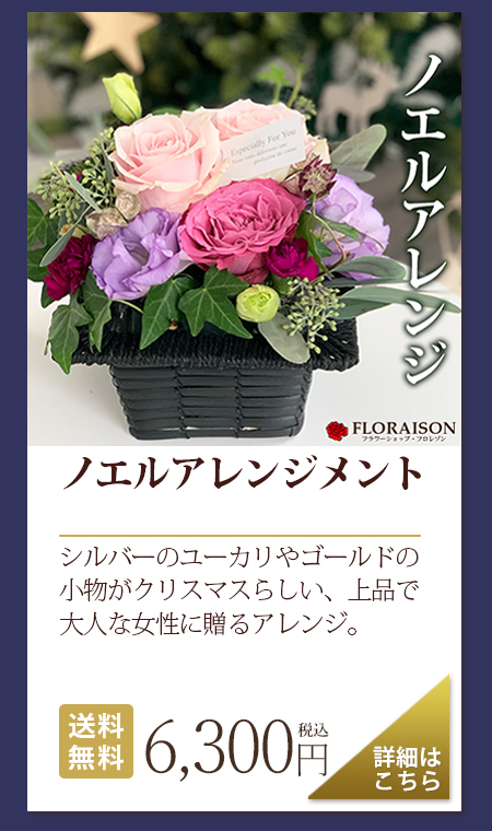 ノエルアレンジ